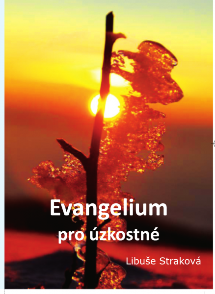 Evangelium pro úzkostné (Libuše Straková)