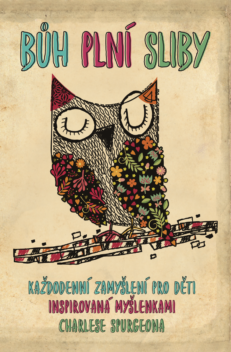 Bůh plní sliby - Catherine MacKenzieová