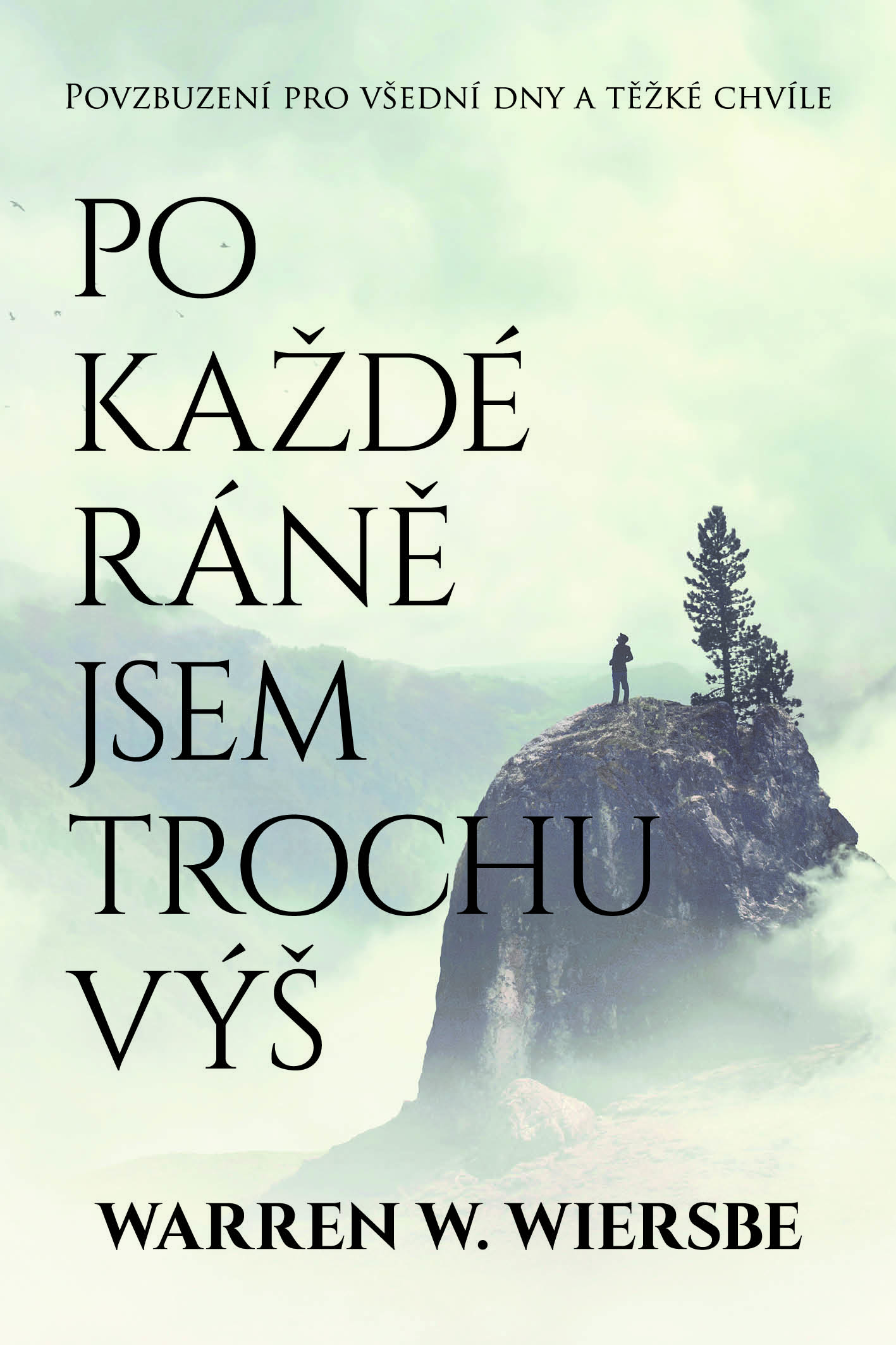 Po každé ráně jsem trochu výš - Warren W. Wiersbe