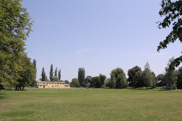 Areál židovského hřbitova